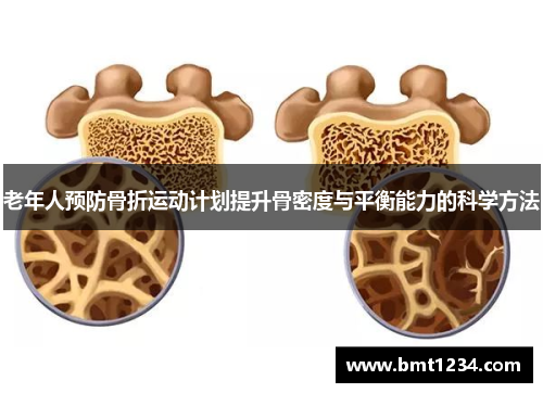 老年人预防骨折运动计划提升骨密度与平衡能力的科学方法